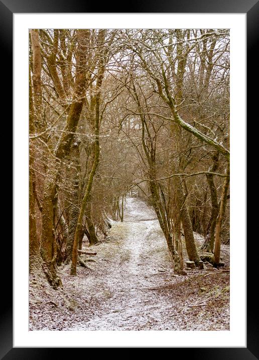 A country lane in Winter Framed Mounted Print by Leighton Collins