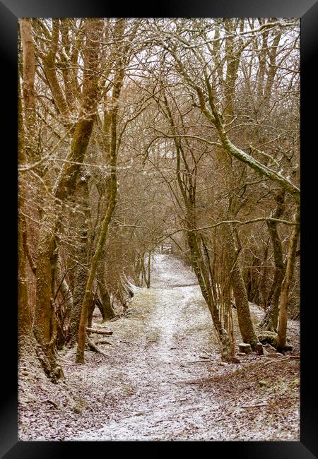 A country lane in Winter Framed Print by Leighton Collins