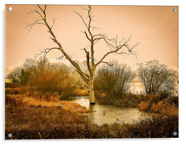 Lone Tree Boddington Reservoir Acrylic by Michelle Bowler