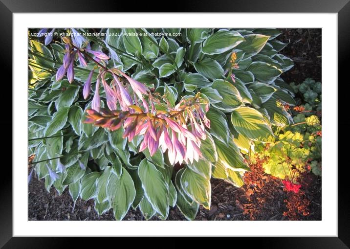 Plant leaves Framed Mounted Print by Ali asghar Mazinanian