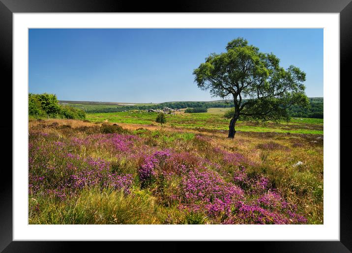 Lawrence Field in Summer Framed Mounted Print by Darren Galpin