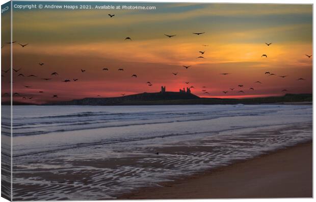 Sunset looking to Dunstanburgh Castle Canvas Print by Andrew Heaps