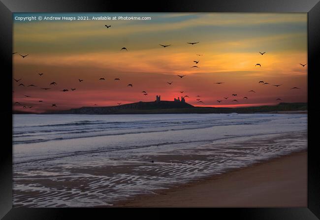 Sunset looking to Dunstanburgh Castle Framed Print by Andrew Heaps