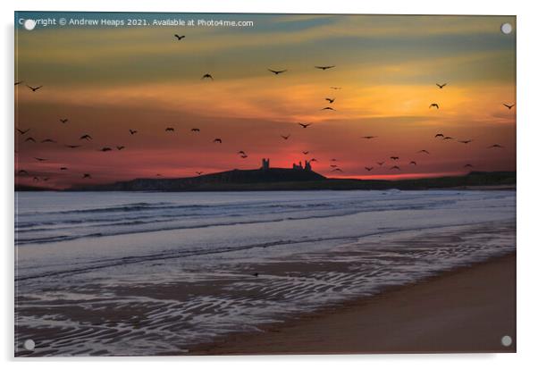 Sunset looking to Dunstanburgh Castle Acrylic by Andrew Heaps
