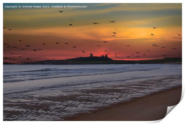 Sunset looking to Dunstanburgh Castle Print by Andrew Heaps