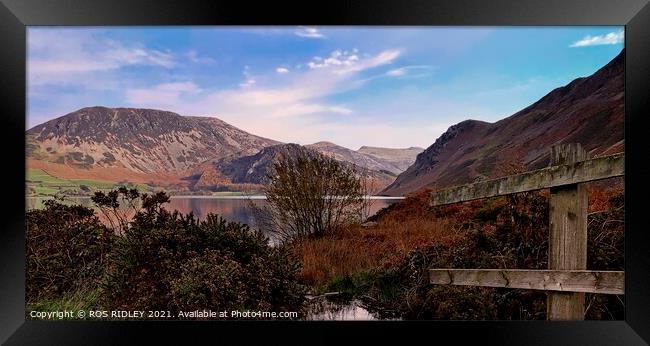 Heading down to Ennerdale Water Framed Print by ROS RIDLEY
