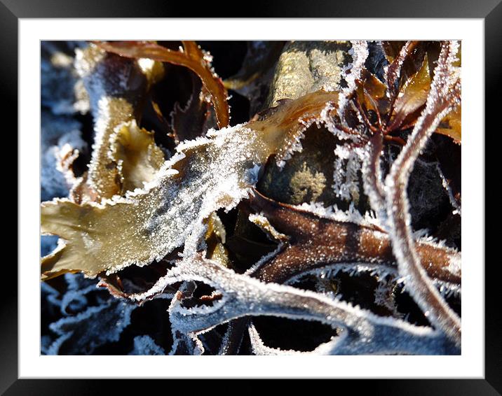 Winter Beach Framed Mounted Print by Catherine Susans