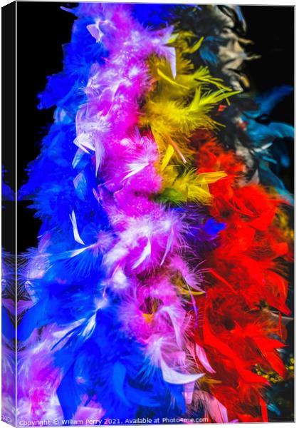 Colorful Feathers Necklaces Mardi Gras New Orleans Louisiana Canvas Print by William Perry