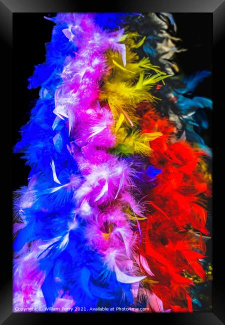 Colorful Feathers Necklaces Mardi Gras New Orleans Louisiana Framed Print by William Perry