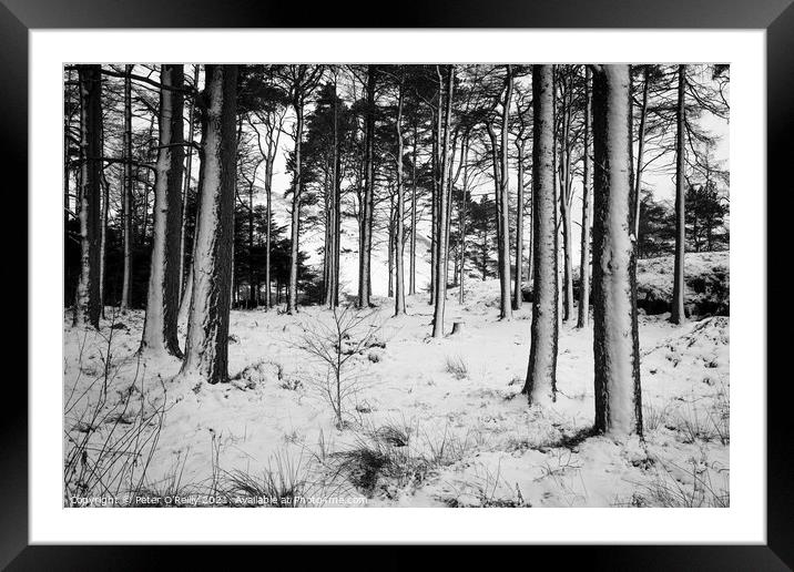 Snow Trees IV Framed Mounted Print by Peter O'Reilly