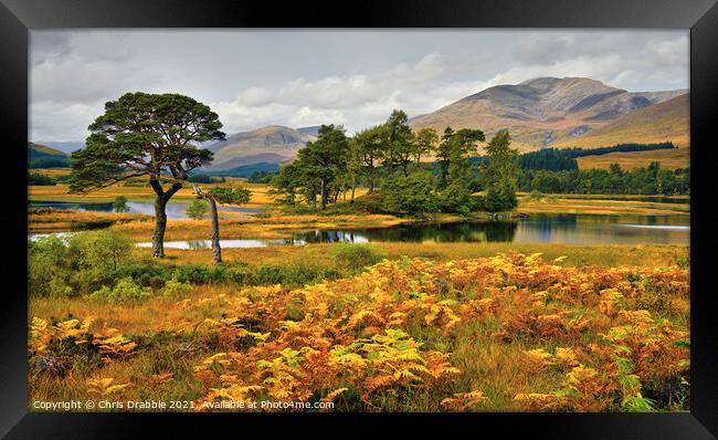 Loch Tulla in early light Framed Print by Chris Drabble