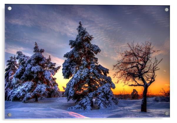 Winter Sun Acrylic by Steffen Gierok-Latniak