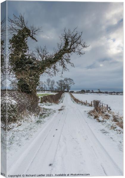 Towards Hutton Magna from Van Farm in snow Canvas Print by Richard Laidler