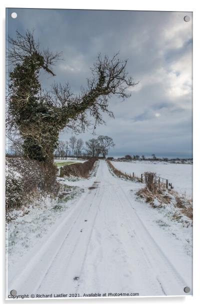 Towards Hutton Magna from Van Farm in snow Acrylic by Richard Laidler