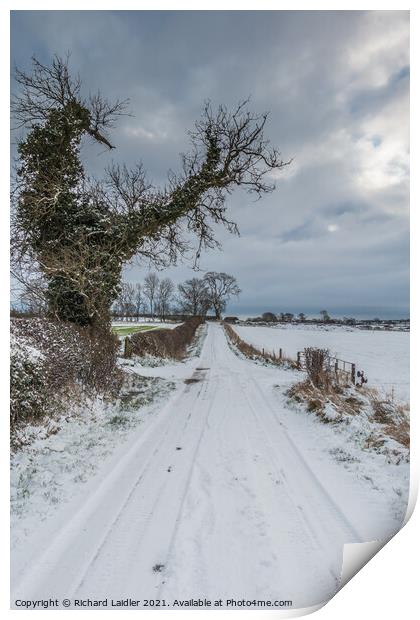 Towards Hutton Magna from Van Farm in snow Print by Richard Laidler