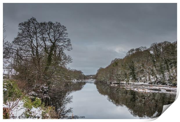 Winter Reflections in the River Tees at Wycliffe Print by Richard Laidler