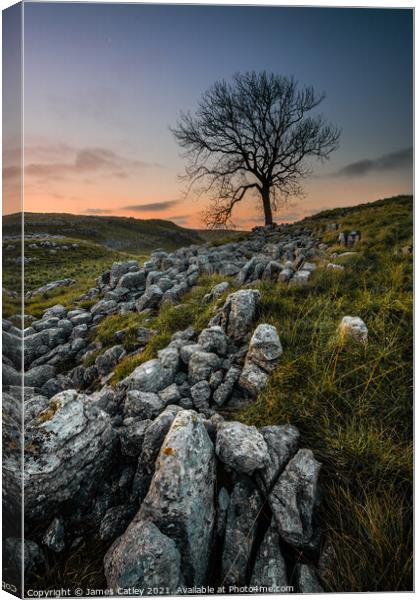 Sunrise at Malham cove Canvas Print by James Catley