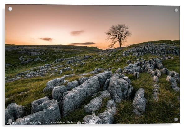 Yorkshire Sunrise Acrylic by James Catley