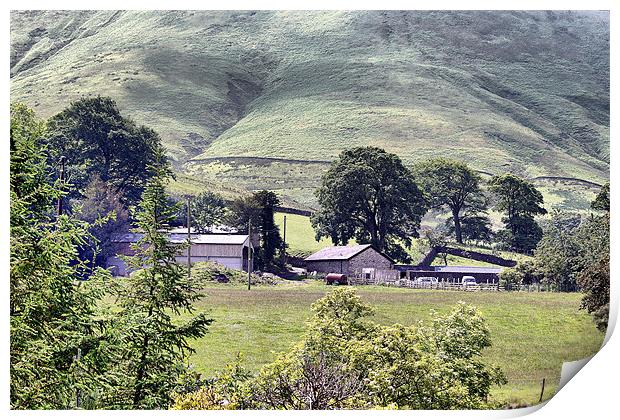 Farm below the Hill Print by Jacqui Kilcoyne