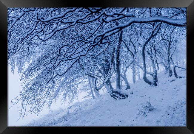 Rushup Edge Trees in Winter Framed Print by John Finney