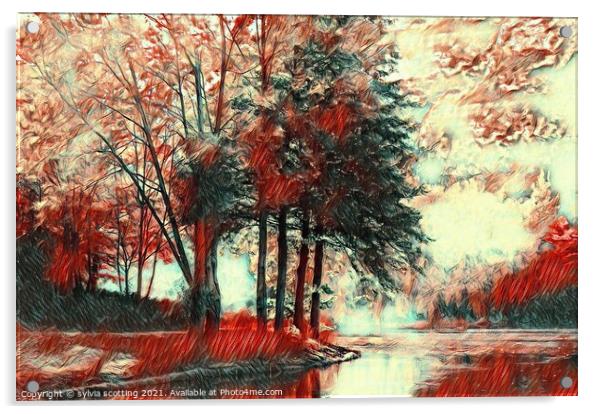 Love lake  Acrylic by sylvia scotting