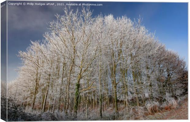 Christmas frost (2) Canvas Print by Philip Hodges aFIAP ,