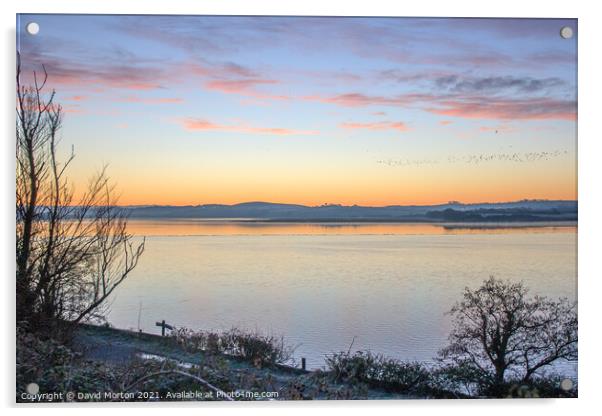 Flock of Birds at Dawn Over the Taw Estuary Acrylic by David Morton
