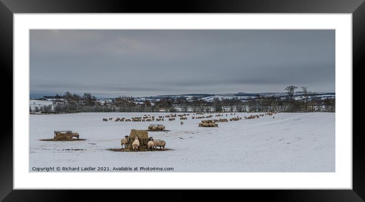 The Winter Food Line 2 Framed Mounted Print by Richard Laidler