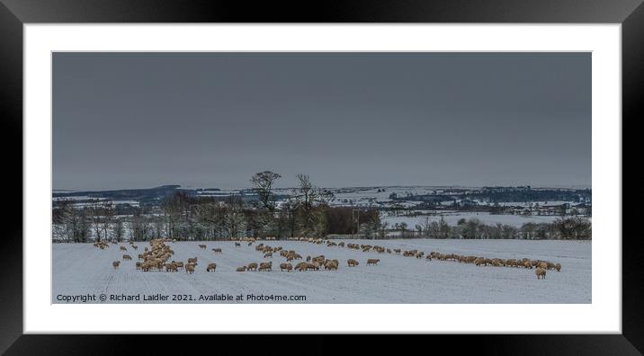 The Winter Food Line 1 Framed Mounted Print by Richard Laidler