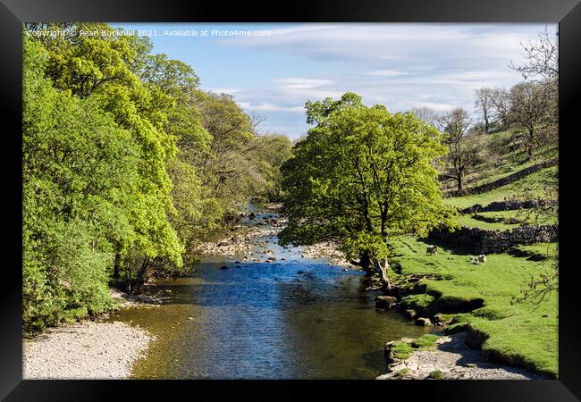 River Wharfe at Kettlewell in Yorkshire Framed Print by Pearl Bucknall