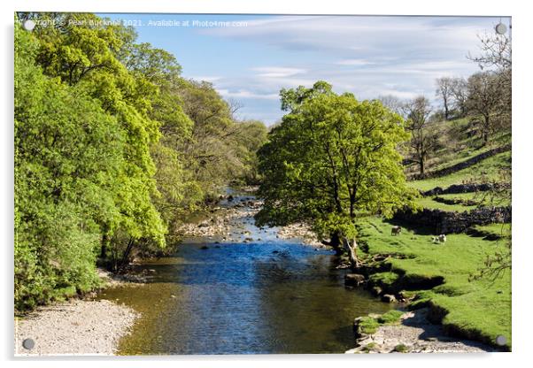 River Wharfe at Kettlewell in Yorkshire Acrylic by Pearl Bucknall