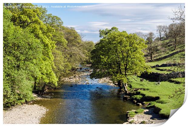 River Wharfe at Kettlewell in Yorkshire Print by Pearl Bucknall