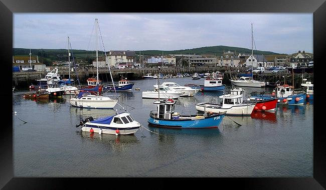 West Bay Harbour Framed Print by Mike Streeter