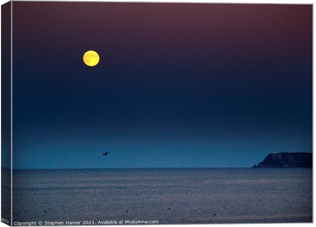 Full Moon and Berry Head Canvas Print by Stephen Hamer