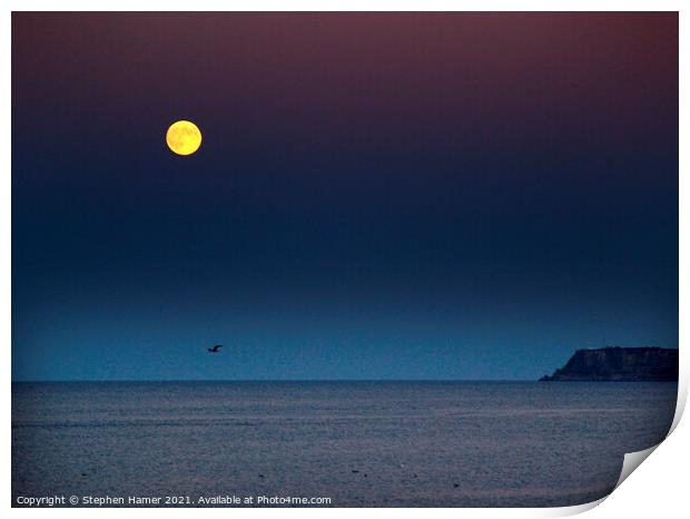 Full Moon and Berry Head Print by Stephen Hamer