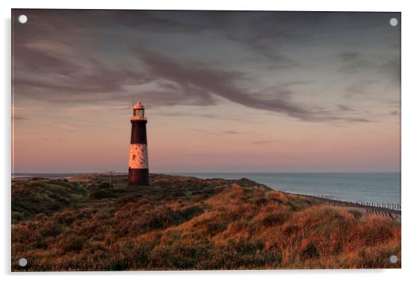 Last of the Light, Spurn Point, East Yorkshire  Acrylic by Tony Gaskins