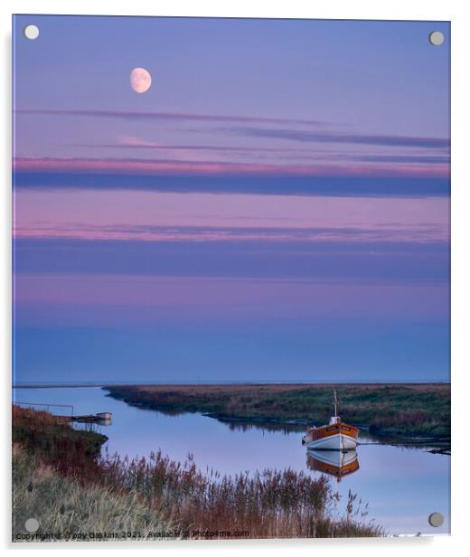Moonrise, Saltfleet Haven, Lincolnshire Acrylic by Tony Gaskins