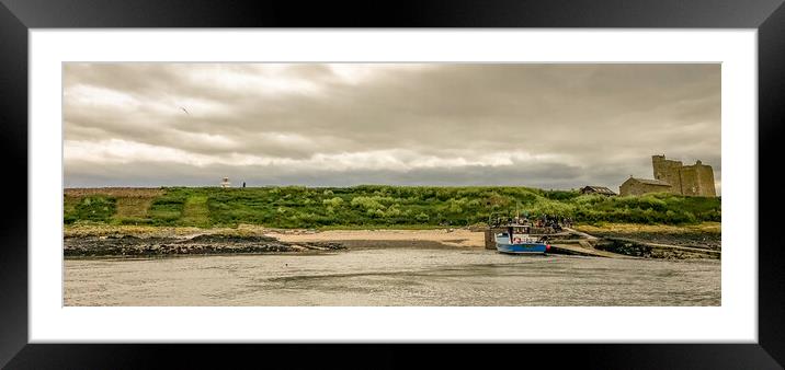 A day trip to the Farnes Framed Mounted Print by Naylor's Photography