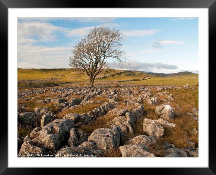 Solitary Tree above Malham Framed Mounted Print by Nick Jenkins