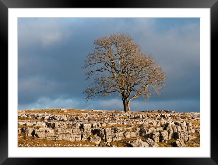 Solitary Tree above Malham Yorks Dales Framed Mounted Print by Nick Jenkins