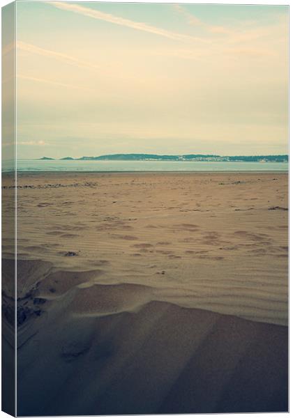 Swansea Beach looking to Mumbles Canvas Print by Dan Davidson
