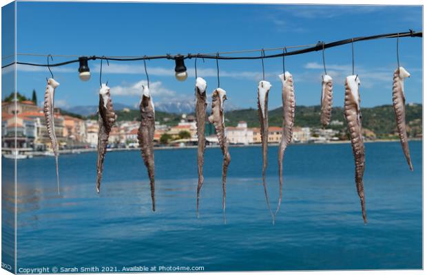 Fresh Calamari hung out to dry Canvas Print by Sarah Smith