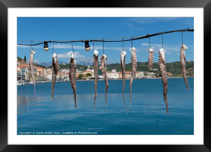 Fresh Calamari hung out to dry Framed Mounted Print by Sarah Smith