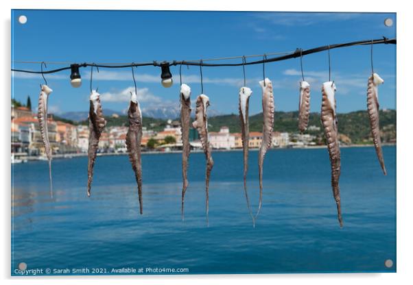 Fresh Calamari hung out to dry Acrylic by Sarah Smith