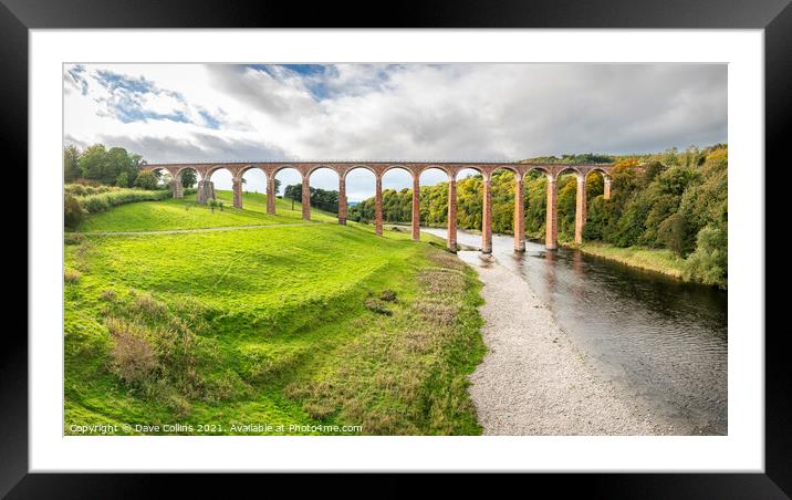 Leaderfoot Viaduct, Melrose, Scotland Framed Mounted Print by Dave Collins