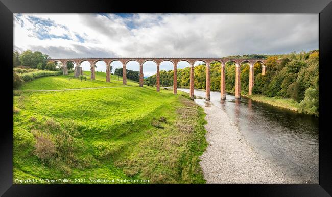 Leaderfoot Viaduct, Melrose, Scotland Framed Print by Dave Collins