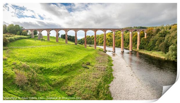 Leaderfoot Viaduct, Melrose, Scotland Print by Dave Collins