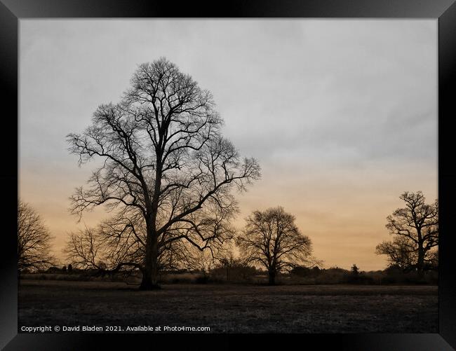 Frosty Morning Framed Print by David Bladen