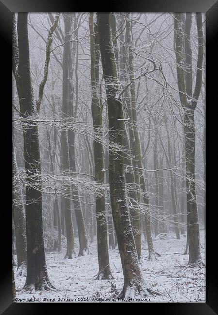 Winter Woods Framed Print by Simon Johnson