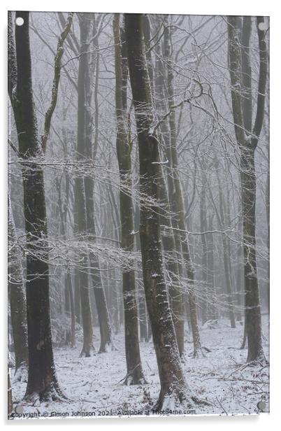 Winter Woods Acrylic by Simon Johnson